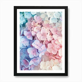 Hydrangeas 2 Art Print