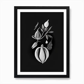 Black Cardamom Spices And Herbs Retro Minimal 3 Art Print