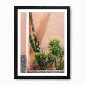 Cactus Plants against pink Wall in Fes, Morocco | Colorful travel photography Art Print