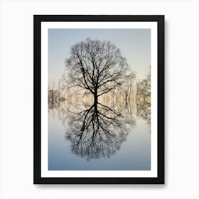 Reflection of a tree at sunset Art Print