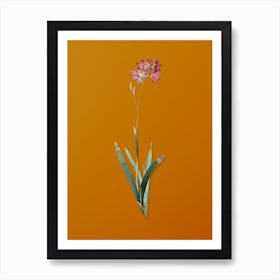 Vintage Corn Lily Botanical on Sunset Orange 1 Art Print