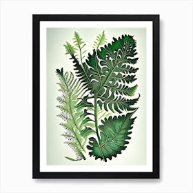 Royal Fern Wildflower Vintage Botanical 2 Art Print