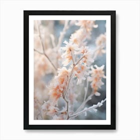 Frosty Botanical Chinese Witch Hazel 1 Art Print