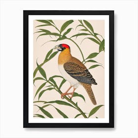 Crested Caracara 2 William Morris Style Bird Art Print