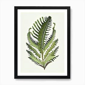 Tripinnatifid Spleenwort Vintage Botanical Poster Art Print