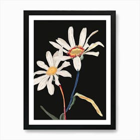 Neon Flowers On Black Daisy 2 Art Print