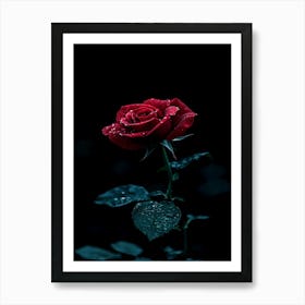 Dark Rose 59 Art Print