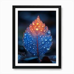 Raindrops On A Leaf Art Print