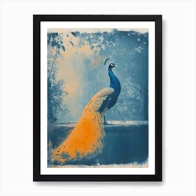 Peacock Orange Cyanotype Inspired In The Fountain Art Print