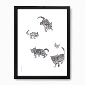 Black Kitten Art Print