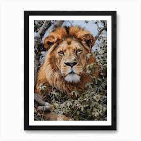 African Lion Lion In Different Seasons Acrylic Painting 2 Art Print