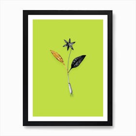 Vintage Erythronium Black and White Gold Leaf Floral Art on Chartreuse Art Print