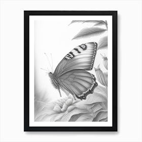 Butterfly In Garden Greyscale Sketch 1 Art Print