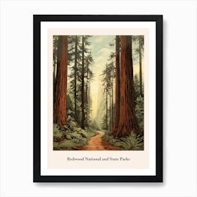 Redwood National And State Parks Art Print