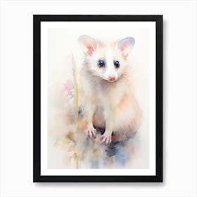Light Watercolor Painting Of A Posing Possum 2 Art Print