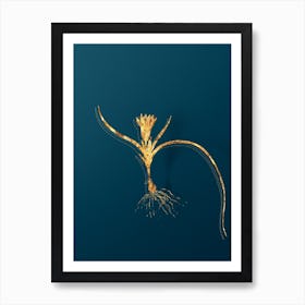 Vintage Ixia Recurva Botanical in Gold on Teal Blue n.0269 Art Print