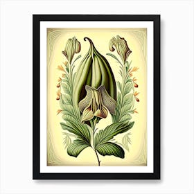 Cardamom Herb Vintage Botanical Art Print