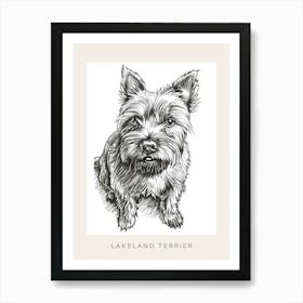 Lakeland Terrier Dog Line Sketch 3 Poster Art Print