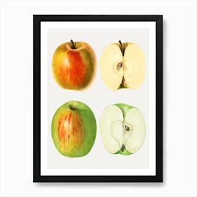 Apple Painting Art Print