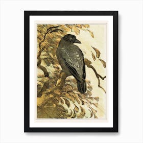 Pied Crow On A Branch (1878–1910), Theo Van Hoytema Art Print