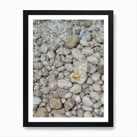 Clear water and white rocks and on the beach Art Print