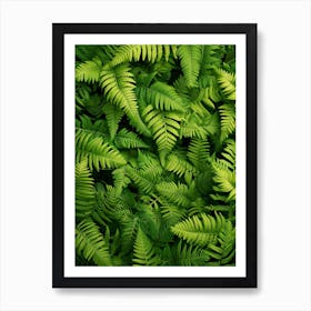 Pattern Poster Wood Fern 2 Art Print