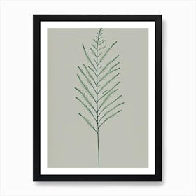 Asparagus Fern Simplicity Art Print