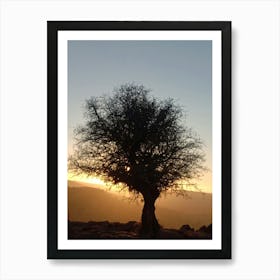 Sunset Over A Tree Art Print