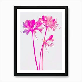 Hot Pink Agapanthus 1 Art Print