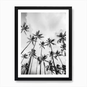 Palm Trees And Clouds Black And White 1 Art Print