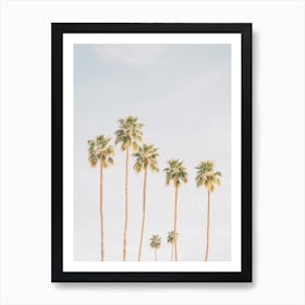 Socal Palm Trees Art Print