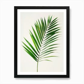 Palm Leaf 3 Art Print