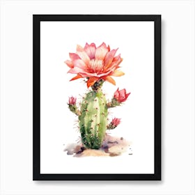 Stenocactus Cactus Watercolour Drawing 4 Art Print