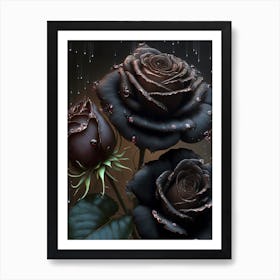 Black Roses In The Rain Art Print