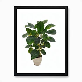 Calathea Roseopicta 'Corona' (Calathea Roseopicta 'Corona') Watercolor Art Print