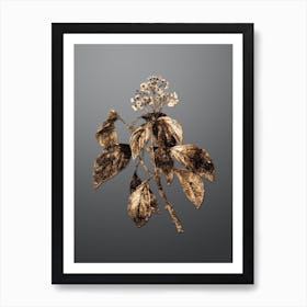 Gold Botanical Climbing Hydrangea on Soft Gray n.2619 Art Print