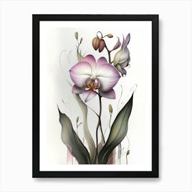 Orchid Art Print