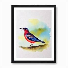 Dipper Watercolour Bird Art Print