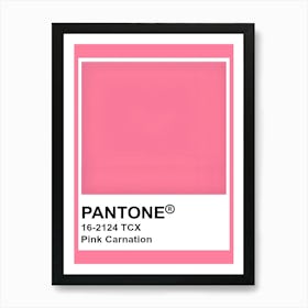 Pink Carnation Art Print