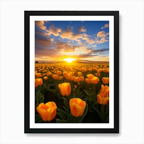 Tulips At Sunset Art Print