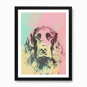 Boykin Spaniel Dog Pastel Line Watercolour Illustration  1 Art Print