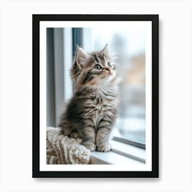 Kitten Looking Out Of Window Art Print