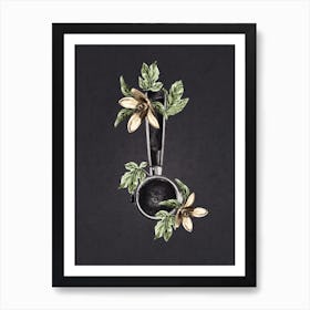 Botanical Espresso Art Print