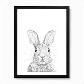 Bunny Animal Print Art Print