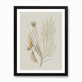 Fennel Seeds Spices And Herbs Retro Minimal 1 Art Print