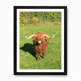 Highland Cow, Blair Atholl, Scottish Highlands Art Print