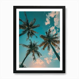 Palm Trees At Sunset Art Print