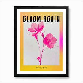 Hot Pink Veronica Flower 2 Poster Art Print