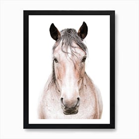 Horse Portrait 1 Art Print