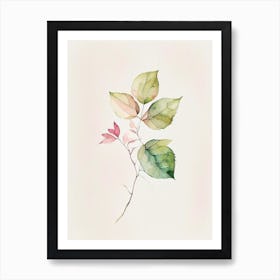 Wild Rose Leaf Minimalist Watercolour 1 Art Print